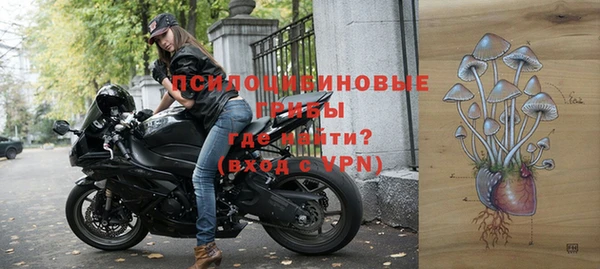 ГАЛЛЮЦИНОГЕННЫЕ ГРИБЫ Богородск