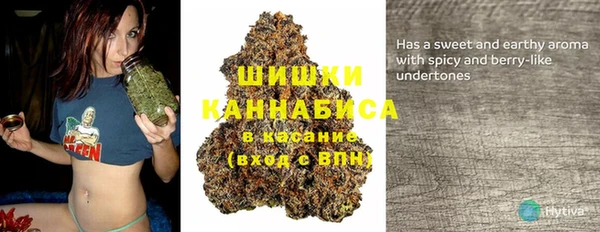 2c-b Богданович