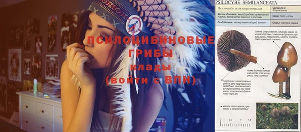 герыч Белокуриха
