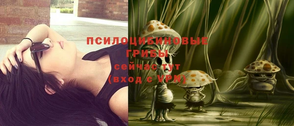 шишки Белоозёрский