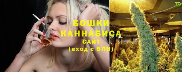 ГАЛЛЮЦИНОГЕННЫЕ ГРИБЫ Богородск