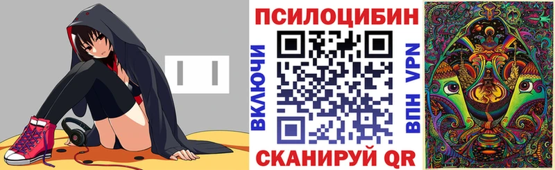 Псилоцибиновые грибы прущие грибы  Купить закладки  Кудрово 