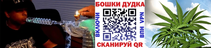 Шишки марихуана семена  Купить где  Кудрово 
